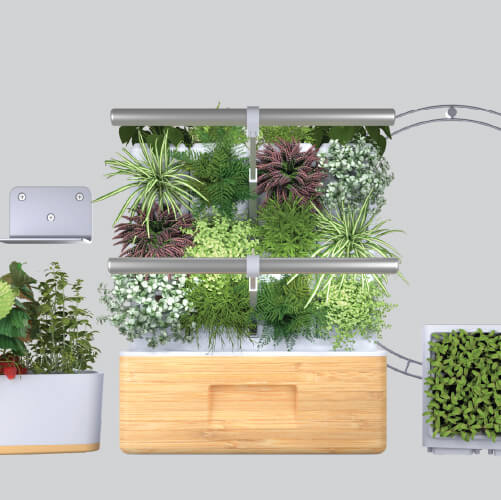 Totam Planter - All Inc Bundle