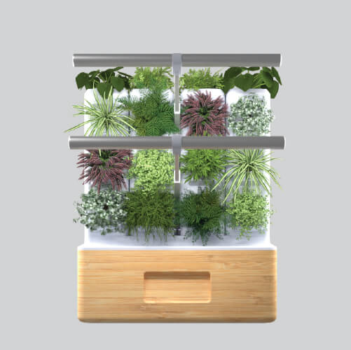 Totam Planter - Complete Bundle